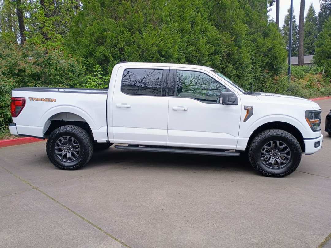 2025 Ford F-150 Tremor - Image 3